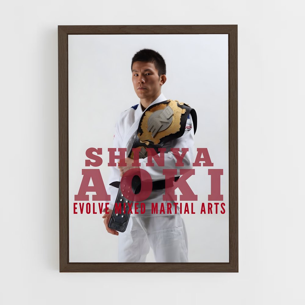 Poster Aoki Evolution – affiche MMA (vue 5)